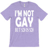 new i'm not gay but $20 is $20 T-Shirt