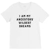 i am my ancestors' wildest dreams V-Neck Tee