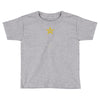 deutschland weltmeitser 4 sterne Toddler T-shirt