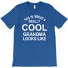 this is what a cool grandma looks like T-Shirt