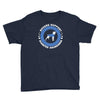 boxers support diabetes awareness Youth Tee