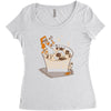 the dude abides Women's Triblend Scoop T-shirt
