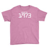 made in 1973 birthday celebration funny party Youth Tee