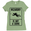 wizardry is not a crime Ladies Fitted T-Shirt
