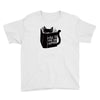 how to train your human Youth Tee