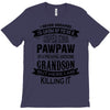 Super Cool Pawpaw Of A Freaking Awesome Grandson T-Shirt