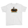 walt and jesse Youth Tee