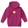 FAHRIE77 Youth Hoodie