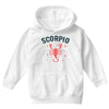 scorpio Youth Hoodie