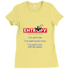 Entropy: The Ultimate Thermodynamics Game Ladies Fitted T-Shirt