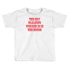dry cleaning worker in the house Toddler T-shirt
