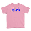 bjork Youth Tee