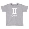 gemini zidiac Toddler T-shirt