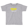 it's a surname thing Toddler T-shirt