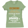 Gemini Hated By Many Wanted By Plenty Disliked By Some Confronted By N Ladies Fitted T-Shirt