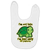 not late Baby Bibs