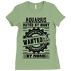 Aquarius Hated By Many Wanted By Plenty Ladies Fitted T-Shirt