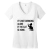 its not Women's V-Neck T-Shirt