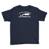 it's not a hangover it's wine flu Youth Tee