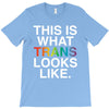 This Is What Trans Looks Like T-Shirt