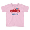 america 2 Toddler T-shirt