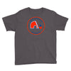 quebec nordiques hockey team Youth Tee