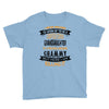 Super Cool Granddaughter Of A Freaking Awesome Grammy Youth Tee