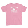 property of a golden retriever Youth Tee