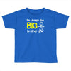 personalised i'm the big brother Toddler T-shirt