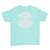 save ferris (3) Youth Tee