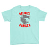reunite pangea Youth Tee