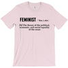 Feminist Noun T-Shirt