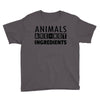 Animals Are Not Ingredients Youth Tee