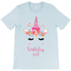 birthday unicorn family series birthday girl T-Shirt