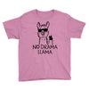 no drama llama Youth Tee