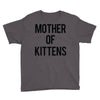 mother of kittens Youth Tee
