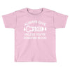 always give 100 percent Toddler T-shirt