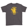 vermilion gym Youth Tee