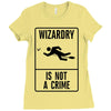 wizardry is not a crime Ladies Fitted T-Shirt