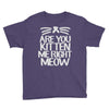 are you kitten me right meow Youth Tee