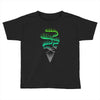 aurora borealis Toddler T-shirt