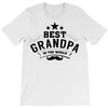 the best grandpa T-Shirt