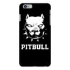 american pitbull terrier iPhone 6/6s Plus Case