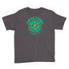 turtle power company Youth Tee