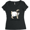 Dogtor Women's Triblend Scoop T-shirt