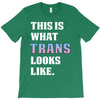 This is What Trans Looks Like T-Shirt