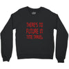 there's no future in time travel Crewneck Sweatshirt