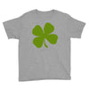 irish (2) Youth Tee