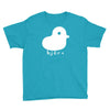 bjork duck diva indie rock band singer Youth Tee