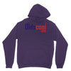 oldscool 1976 Unisex Hoodie